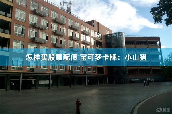 怎样买股票配债 宝可梦卡牌：小山猪