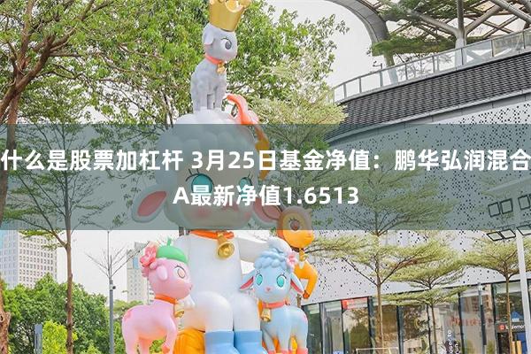 什么是股票加杠杆 3月25日基金净值：鹏华弘润混合A最新净值1.6513