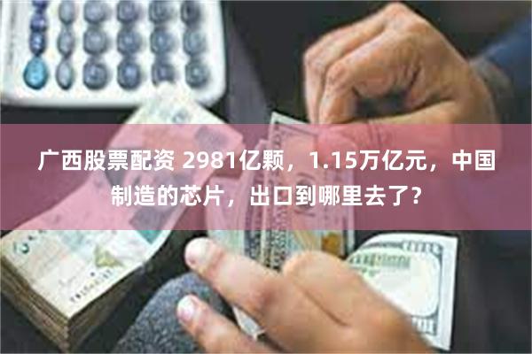 广西股票配资 2981亿颗，1.15万亿元，中国制造的芯片，出口到哪里去了？