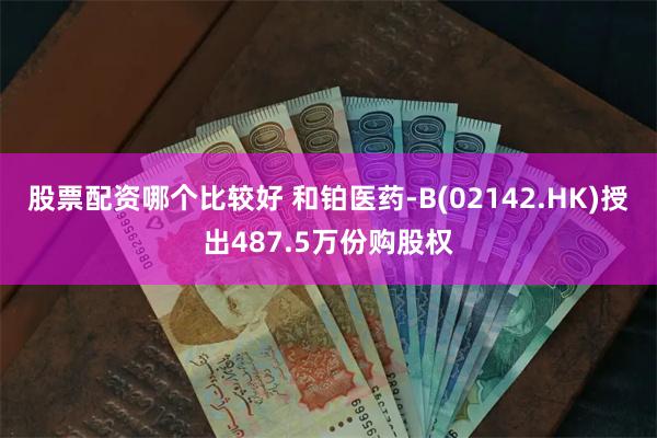 股票配资哪个比较好 和铂医药-B(02142.HK)授出487.5万份购股权