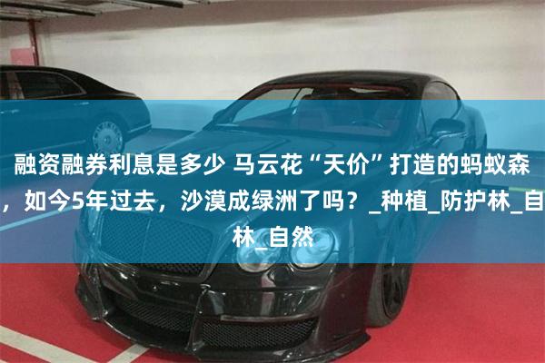 融资融券利息是多少 马云花“天价”打造的蚂蚁森林，如今5年过去，沙漠成绿洲了吗？_种植_防护林_自然