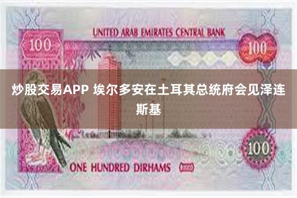 炒股交易APP 埃尔多安在土耳其总统府会见泽连斯基