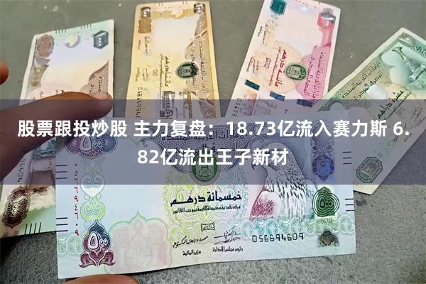 股票跟投炒股 主力复盘：18.73亿流入赛力斯 6.82亿流出王子新材