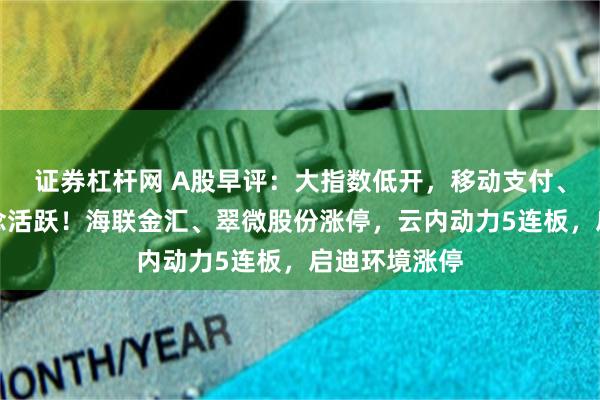 证券杠杆网 A股早评：大指数低开，移动支付、无人驾驶概念活跃！海联金汇、翠微股份涨停，云内动力5连板，启迪环境涨停
