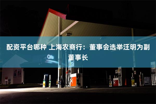 配资平台哪种 上海农商行：董事会选举汪明为副董事长