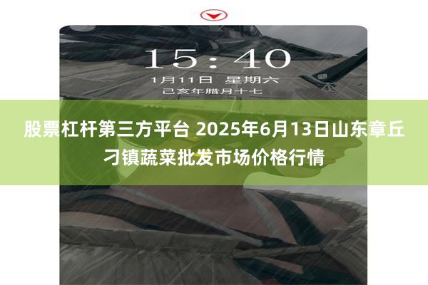 股票杠杆第三方平台 2025年6月13日山东章丘刁镇蔬菜批发市场价格行情