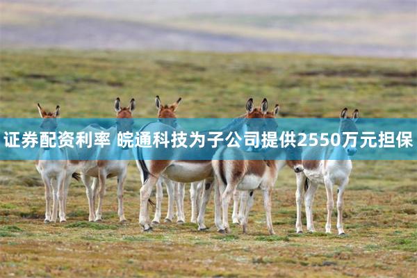 证券配资利率 皖通科技为子公司提供2550万元担保