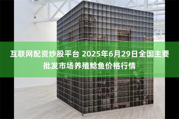 互联网配资炒股平台 2025年6月29日全国主要批发市场养殖鲶鱼价格行情